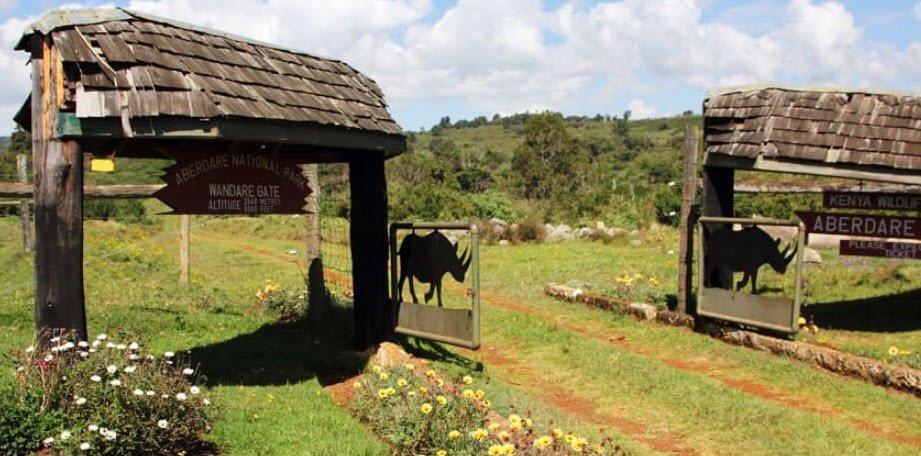 Aberdare National Park, Nyeri County (Central Kenya), Kenya